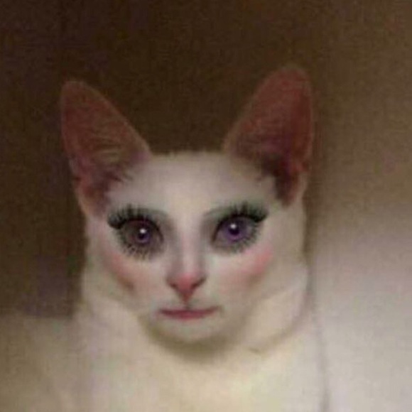 Meet your Posher, Miki - Picture 1 of 1